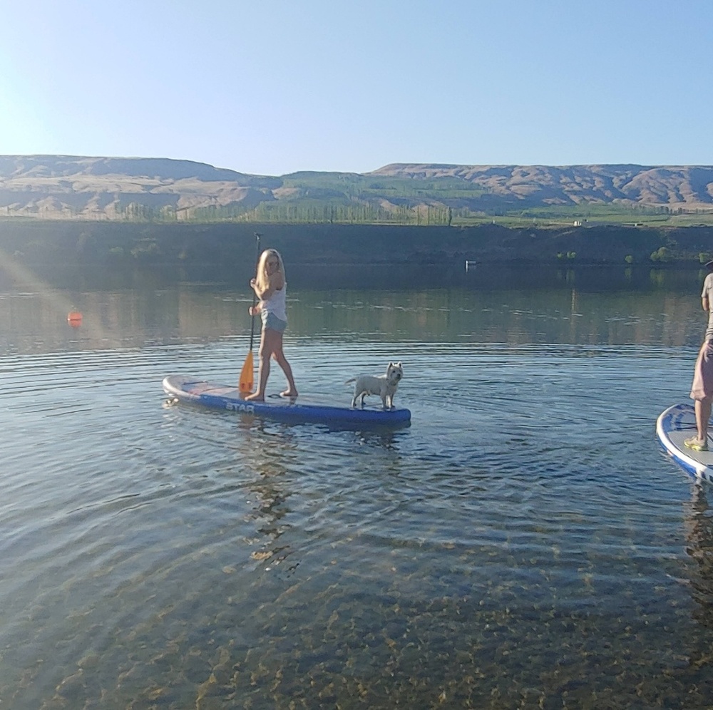 Meet your Posher, Emily